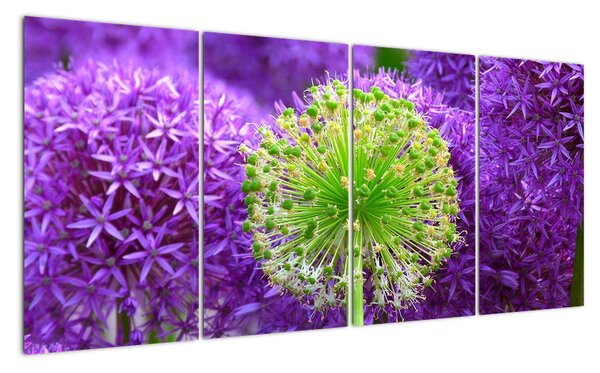 Obraz rastlín (Obraz 160x80cm)