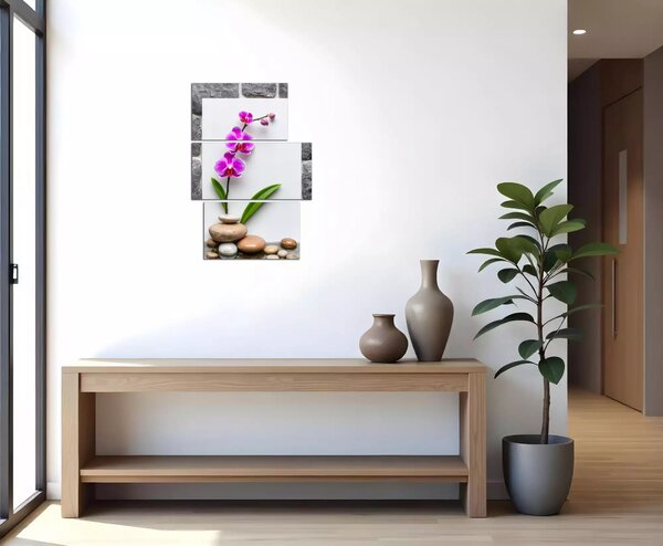 Obraz na plátne Orchidea a kamene