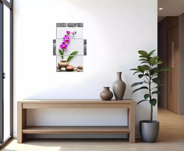 Obraz na plátne Orchidea a kamene