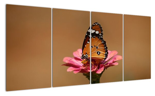 Obraz motýľa (Obraz 160x80cm)