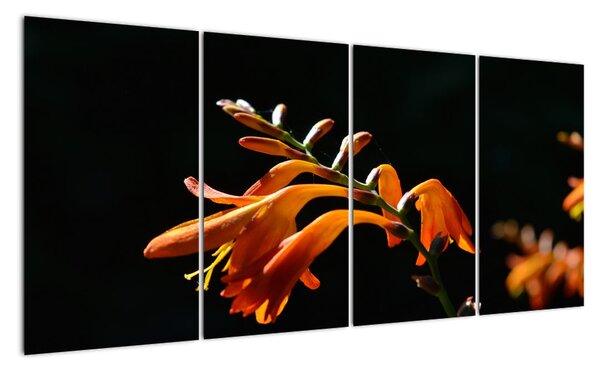 Obraz detailu kvety (Obraz 160x80cm)