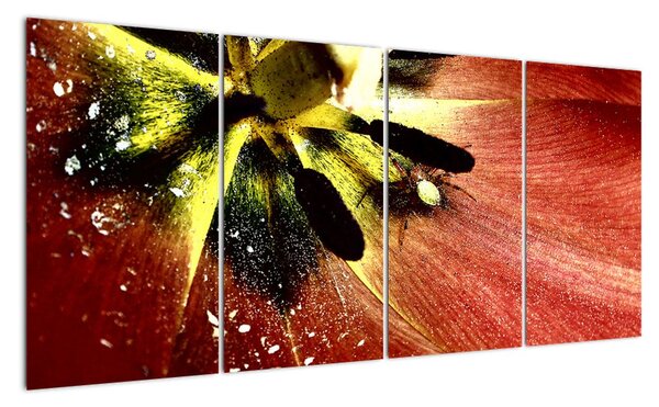 Detail kvetu - obraz (Obraz 160x80cm)