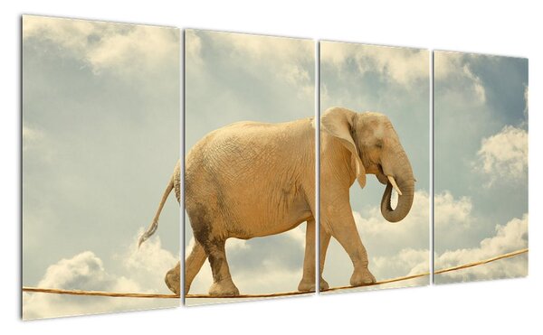 Slon na lane, obraz (Obraz 160x80cm)