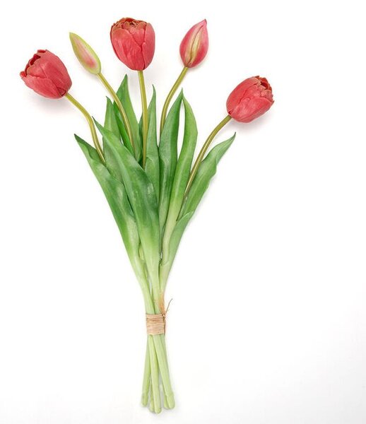 Zväzok tulipány plnokveté 39 cm, 5 ks