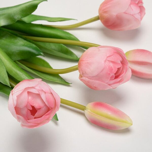 Zväzok tulipány plnokveté 39 cm, 5 ks