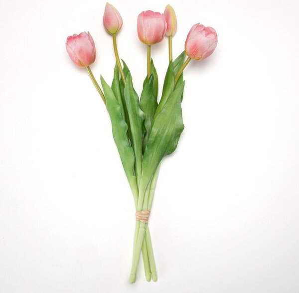 Zväzok tulipány plnokveté 39 cm, 5 ks