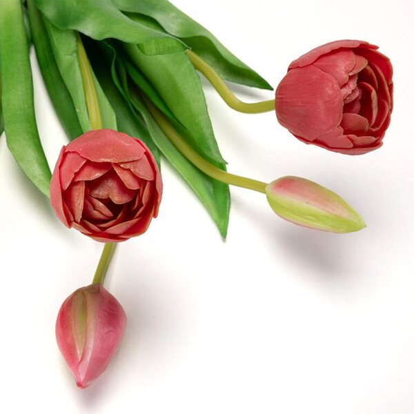 Zväzok tulipány plnokveté 39 cm, 5 ks