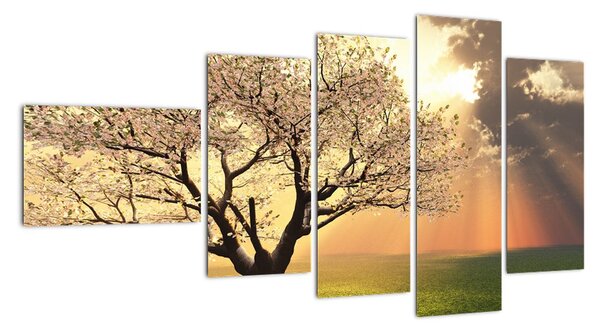 Obraz prírody - strom (Obraz 110x60cm)