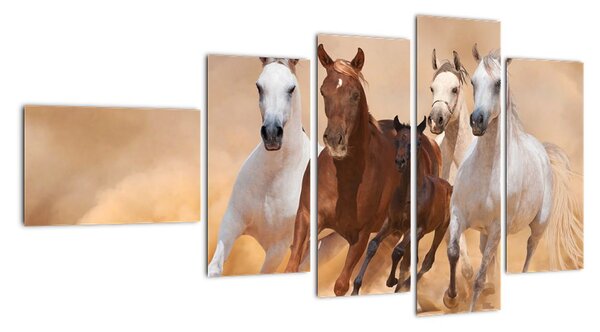 Obrazy bežiacich koní (Obraz 110x60cm)