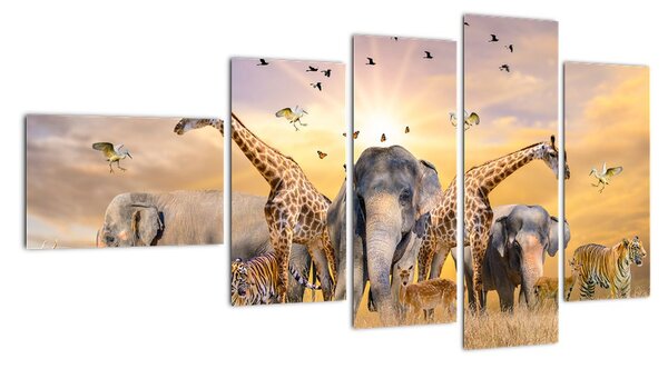 Obraz - safari (Obraz 110x60cm)