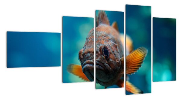 Obraz - ryba (Obraz 110x60cm)