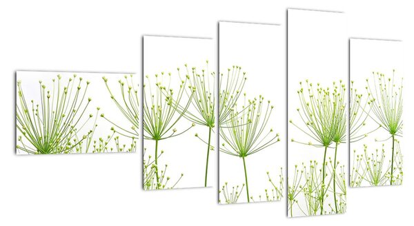 Obraz rastlín na bielom pozadí (Obraz 110x60cm)