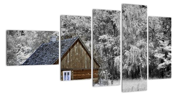 Chaloupka v zime, obrazy (Obraz 110x60cm)