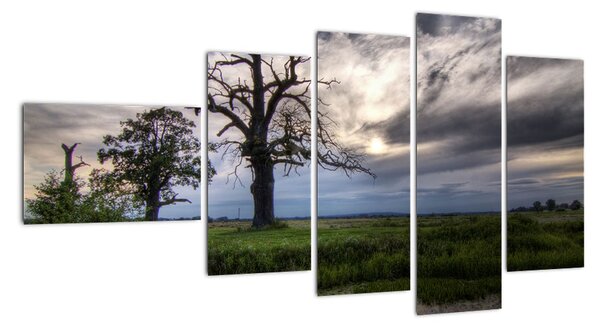 Obraz stromu (Obraz 110x60cm)