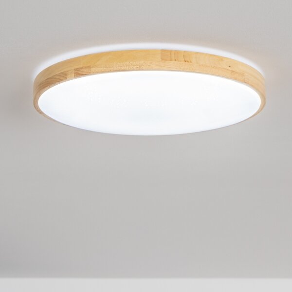 Brilagi - LED stmievateľné stropné svietidlo PINE LED/60W/230V + diaľkové ovládanie