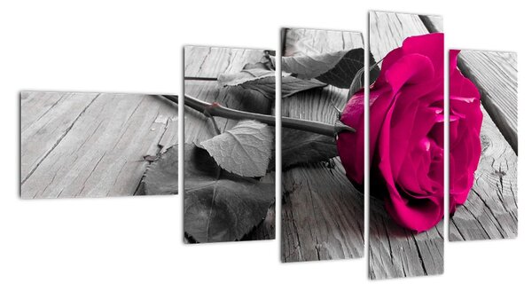 Ruže fialová - obraz (Obraz 110x60cm)