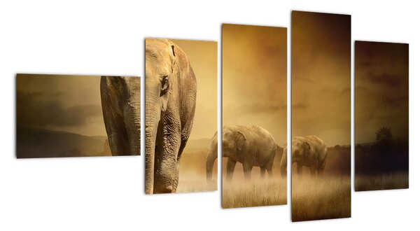 Obraz slona (Obraz 110x60cm)
