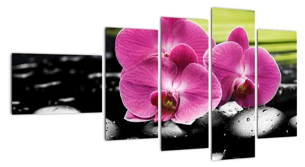 Fotka orchidey (Obraz 110x60cm)