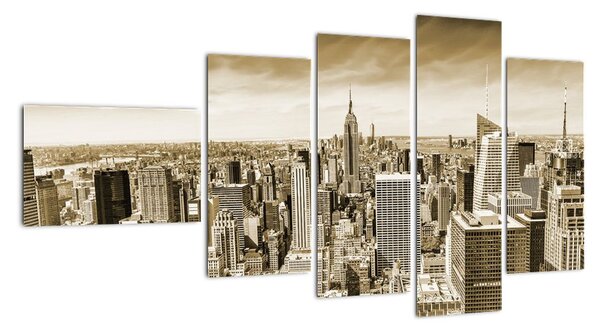 Panorama New York, obraz (Obraz 110x60cm)