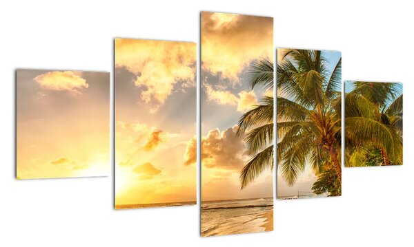 Obraz palmy na piesočnatej pláži (Obraz 125x70cm)