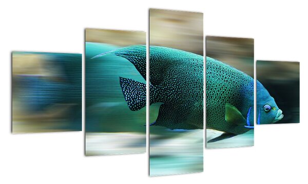 Obraz na stenu - ryby (Obraz 125x70cm)