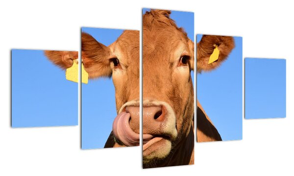 Obraz kravy (Obraz 125x70cm)