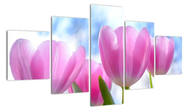 Obraz ružových tulipánov (Obraz 125x70cm)