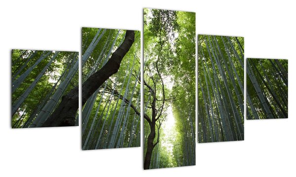 Obraz lesov (Obraz 125x70cm)