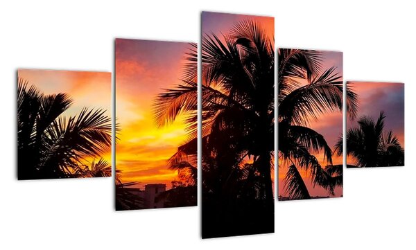 Obraz palmy na stenu (Obraz 125x70cm)