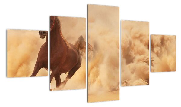 Cválajúci kôň - obraz (Obraz 125x70cm)