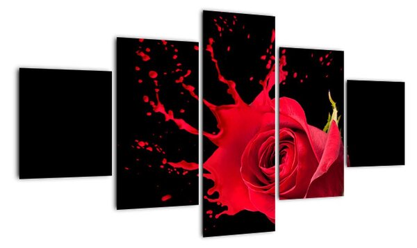 Abstraktný obraz ruža - obraz (Obraz 125x70cm)