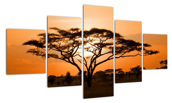 Obraz stromu (Obraz 125x70cm)