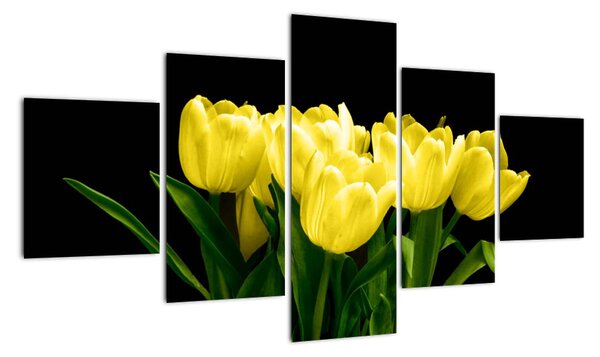 Tulipány - obraz (Obraz 125x70cm)