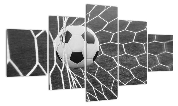 Futbalová lopta v sieti - obraz (Obraz 125x70cm)