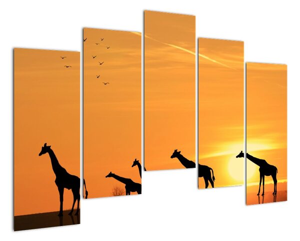 Moderný obraz - žirafy (Obraz 125x90cm)