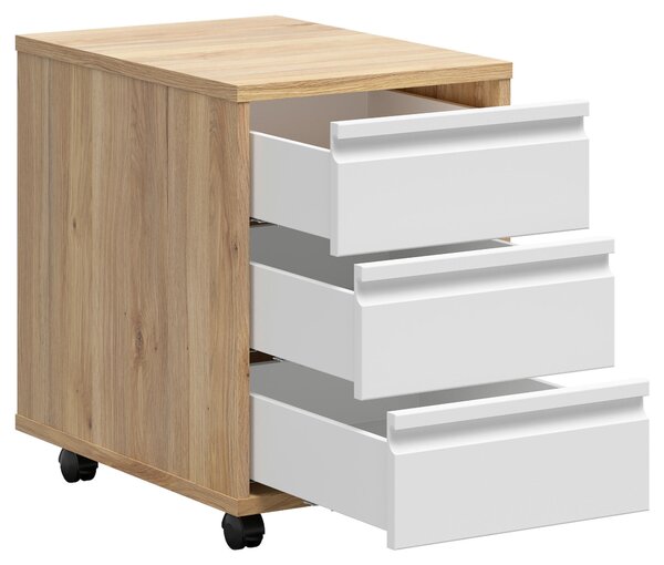 KONTAJNER NA KOLIESKACH, 43/66,5/56 cm Carryhome - Kancelárske série