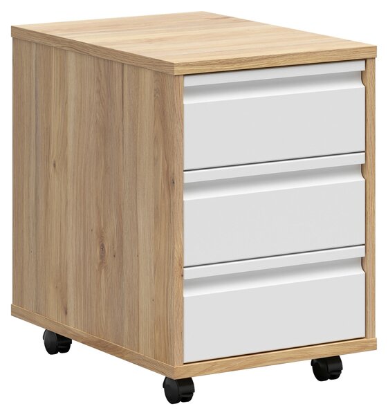 KONTAJNER NA KOLIESKACH, 43/66,5/56 cm Carryhome - Kancelárske série