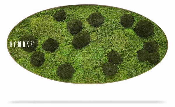 Machový obraz Elipsa FLATMOSS & BOLMOSS Peva - 50 x 100 cm