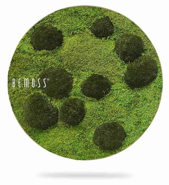 Machový obraz kruh FLATMOSS & BOLMOSS Peva - Priemer 40 cm