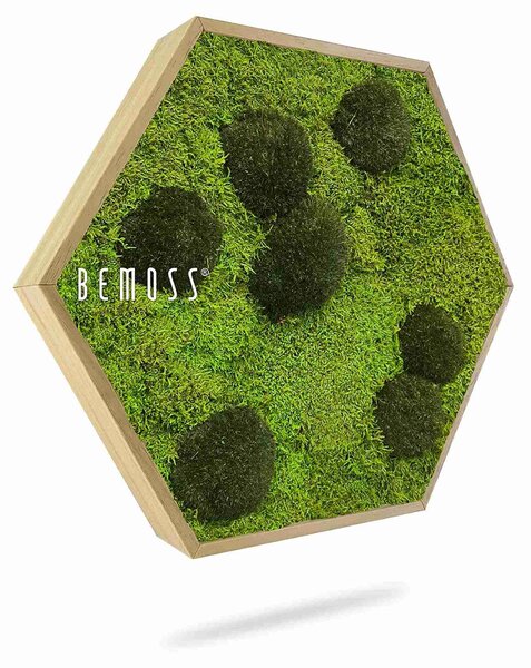 Machový Hexagon FLATMOSS & BOLMOSS Peva - Priemer 30 cm (v najširšom mieste šesťuholníka)