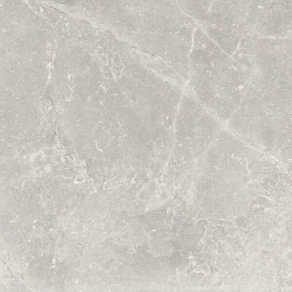 Pietra Antica Cenere 80x80
