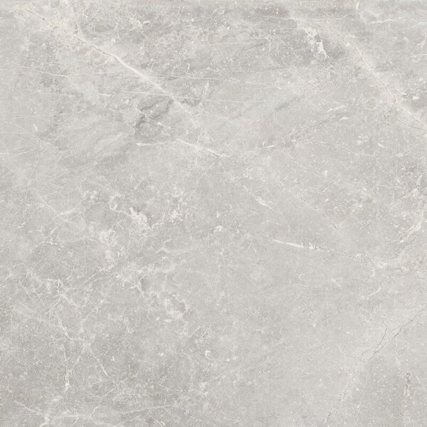 Pietra Antica Cenere 80x80