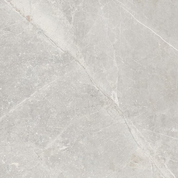 Pietra Antica Cenere 80x80