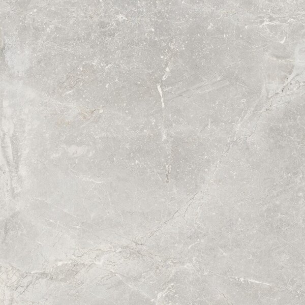 Pietra Antica Cenere 80x80