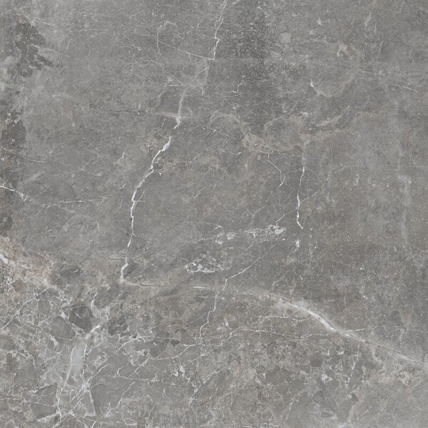 Pietra Antica Grigio 80x80