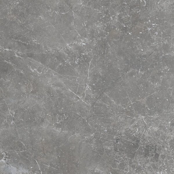 Pietra Antica Grigio 80x80