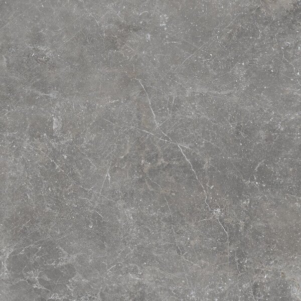 Pietra Antica Grigio 80x80