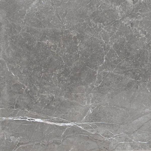 Pietra Antica Grigio 80x80