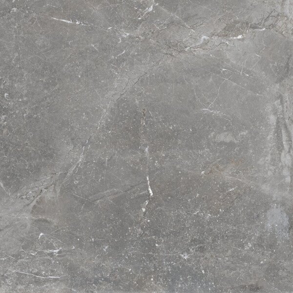 Pietra Antica Grigio 80x80