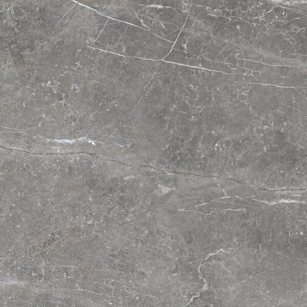Pietra Antica Grigio 80x80